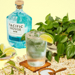 Load image into Gallery viewer, PACIFIC HOUSE SEASIDE GIN