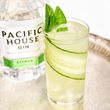 Load image into Gallery viewer, PACIFIC HOUSE CITRUS GIN

