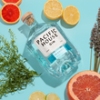 Load image into Gallery viewer, PACIFIC HOUSE SEASIDE GIN